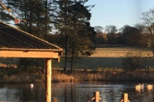 Summerhouse Pond - Set Aside