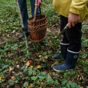 Set Aside - Foraging Experience